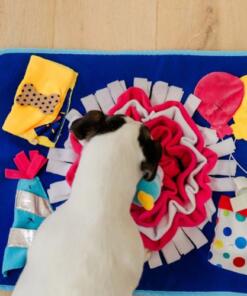 Snuffelmat Celebration