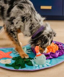 Snuffelmat - Coral Cove