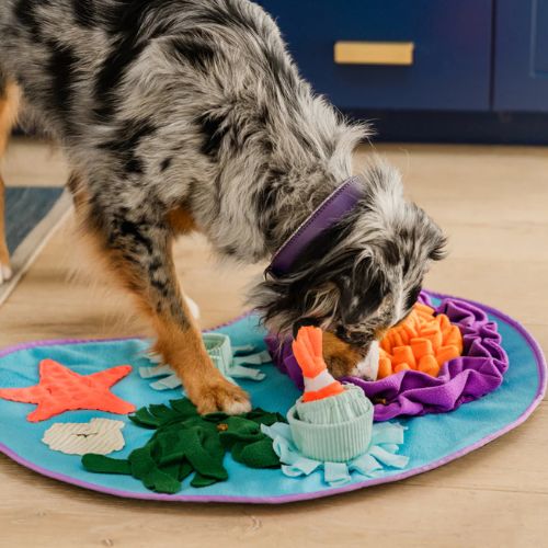 Snuffelmat - Coral Cove 5 Snuffelmat - Coral Cove