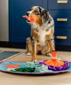 Snuffelmat - Coral Cove