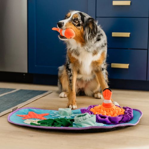 Snuffelmat - Coral Cove 4 Snuffelmat - Coral Cove