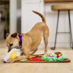 Snuffelmat Savory Sunrise 9 Snuffelmat Savory Sunrise