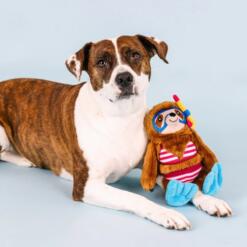 Swimmin’ with the fishes