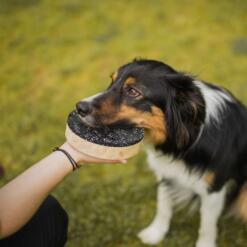 Target Double 22 Target Double