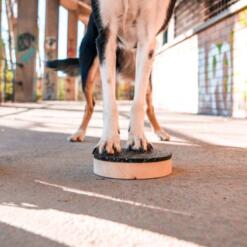 Target Double 17 Target Double