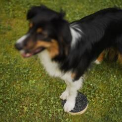 Target Double 21 Target Double