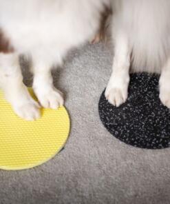 Target Pivot 12 Target Pivot