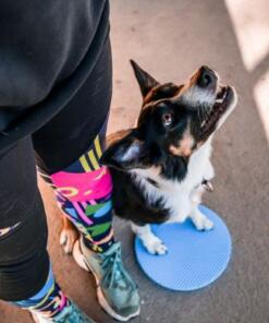 Target Pivot 13 Target Pivot