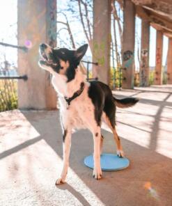 Target Pivot 14 Target Pivot