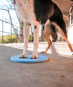 Target Pivot 11 Target Pivot