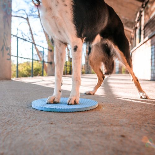 Target Pivot 4 Target Pivot