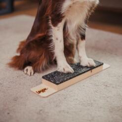 Target Step Up 26 Target Step Up