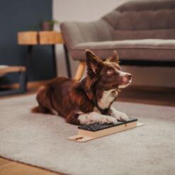 Target Step Up 27 Target Step Up