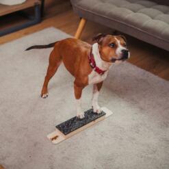 Target Step Up 28 Target Step Up