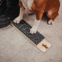 Target Step Up 20 Target Step Up Loype Target voor honden 14