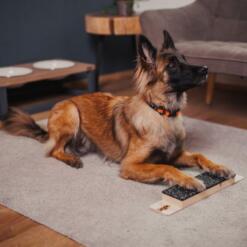 Target Step Up 21 Target Step Up