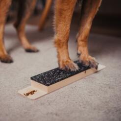 Target Step Up 22 Target Step Up