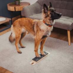 Target Step Up 23 Target Step Up