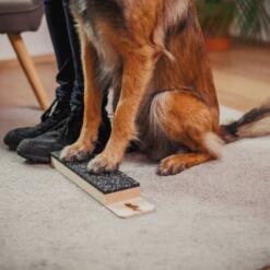 Target Step Up 25 Target Step Up