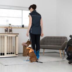 Strivee target 13 Target Strivee