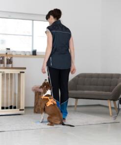 Strivee target 13 Target Strivee