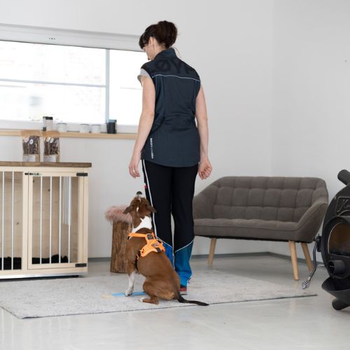 Strivee target 8 Target Strivee