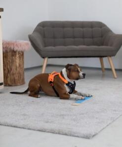 Strivee target 12 Target Strivee