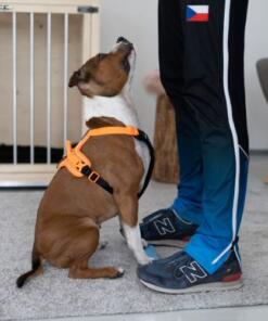 Strivee target 11 Target Strivee