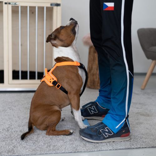 Strivee target 6 Target Strivee