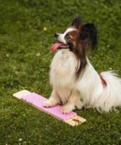 Strivee target 9 Target Strivee