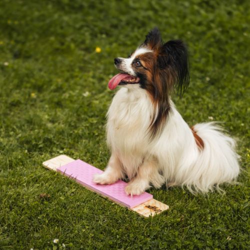 Strivee target 4 Target Strivee