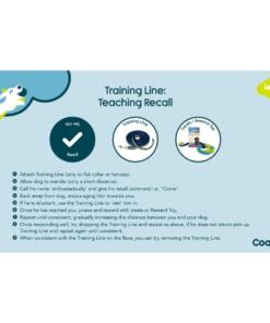 Trainingslijn 5 meter