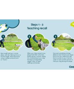 Trainingslijn 5 meter