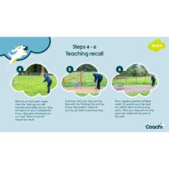 Trainingslijn 5 meter