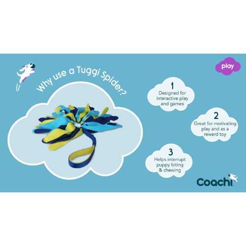 Tuggi Spider 5 Tuggi Spider