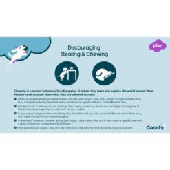 Tuggi Spider 13 Tuggi Spider