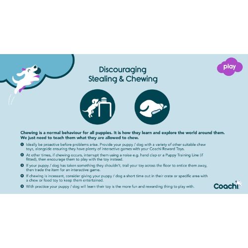 Tuggi Spider 7 Tuggi Spider