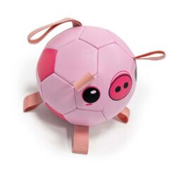 Voetbal Piggy