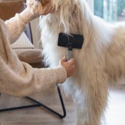 Langharige hond geborsteld met de slickerborstel