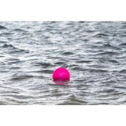 Dog Comets Exoplanet Egelbal 15 Dog Comets Exoplanet egelbal drijvend op water