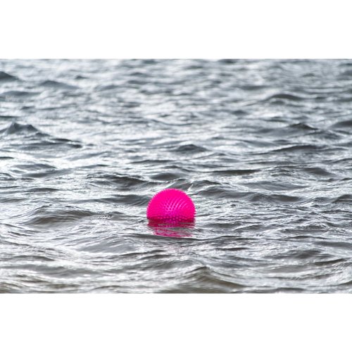 Dog Comets Exoplanet Egelbal 8 Dog Comets Exoplanet egelbal drijvend op water