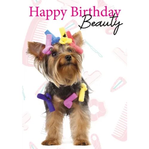A5 Verjaardagskaart Hond "Happy Birthday Beauty" – Yorkshire Terriër 3 Yorkshire Terriër met kleurrijke haarrollers en kappersspullen – A5 verjaardagskaart hond