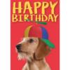 A5 Verjaardagskaart Hond "Happy Birthday" – Hond met Helikopterpet 2 Hond met kleurrijke helikopterpet op rode achtergrond – A5 verjaardagskaart hond