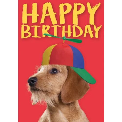A5 Verjaardagskaart Hond "Happy Birthday" – Hond met Helikopterpet 3 Hond met kleurrijke helikopterpet op rode achtergrond – A5 verjaardagskaart hond