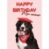 Berner Sennenhond in rode baret en sjaal op roze achtergrond met hartjes – A5 verjaardagskaart