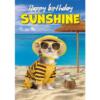 A5 Verjaardagskaart Hond "Happy Birthday Sunshine" – Chihuahua 1 Chihuahua in geel gestreept outfit met zonnebril op tropisch strand – A5 verjaardagskaart hond