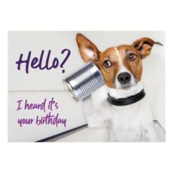 Jack Russell terriër met blikkentelefoon aan zijn oor – A5 verjaardagskaart hond