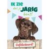 Bruine labrador kijkt over houten hek met slingers – A5 verjaardagskaart hond