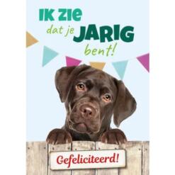 Bruine labrador kijkt over houten hek met slingers – A5 verjaardagskaart hond