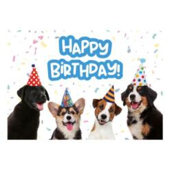 Labrador, corgi, Jack Russell en Berner Sennenhond met feesthoedje – A5 verjaardagskaart honden